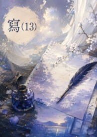 写(13)