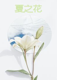 【闪电十一人】夏之花
