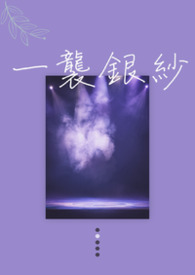 一襲銀紗