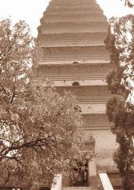 夺命棺