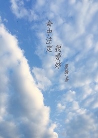 命中注定我爱妳(GL)