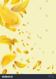 数花瓣