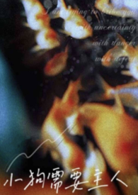 小狗需要主人（完结留档）