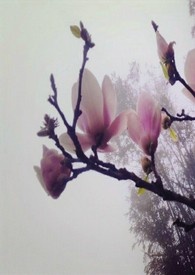 微小说