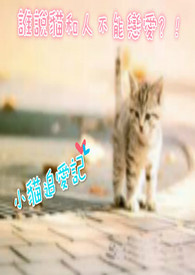 TF同人系列《谁说猫和人不能恋爱？！》