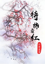 待柿若红
