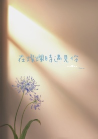 在灿烂时遇见你