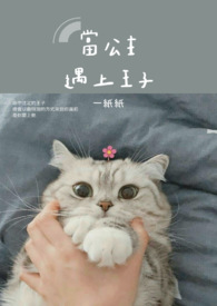 当公主遇上王子