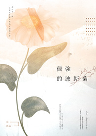 倔强的波斯菊
