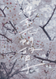 樱草花开的日子