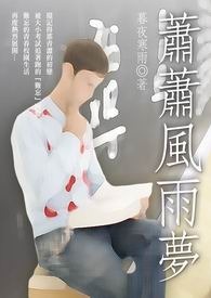萧萧风雨梦 卷一