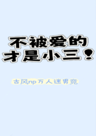 不被爱的才是小三