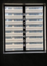 潮湿之地心碎指南