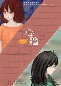 心墙 (完)