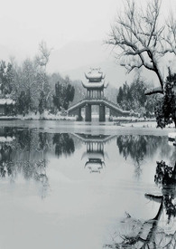 解衣摩腹午窗明，茶硙无声看霏雪