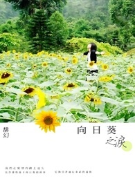 向日葵之泪