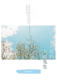 我的太阳先生