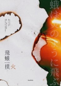 《飞蛾扑火》