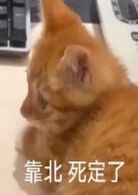 首位把自己孩子打流产的Alpha(双强）