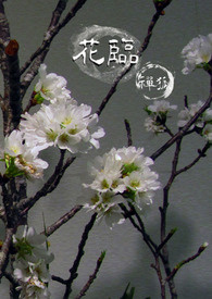 《花临》
