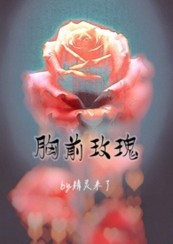 胸前玫瑰［老文纯百gl］
