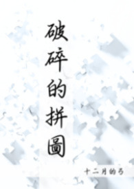 破碎的拼圖II