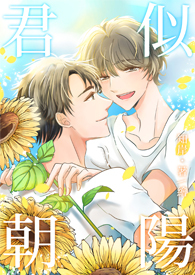 君似朝阳