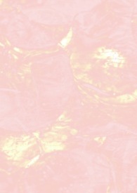 予你以恒的心动