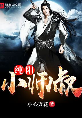 纯阳小师叔