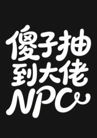 傻子抽到了大佬NPC