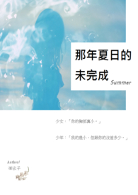 《那年夏日的未完成》