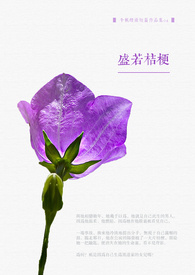 盛若桔梗