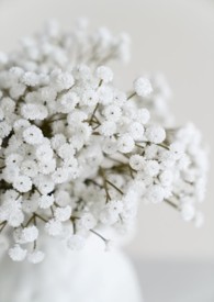将爱（廉颇X蔺相如）