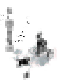 老人与贵宾狗