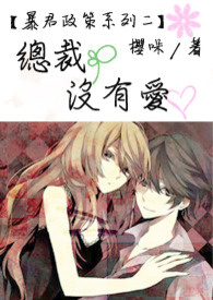 【暴君政策系列二】总裁没有爱