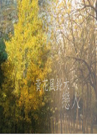 黄花风铃木恋人