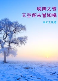 晚降之雪，天空却未曾知晓