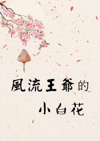 风流王爷的小白花