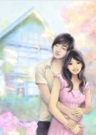 阳光下的橱窗