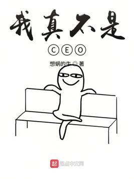 我真不是CEO