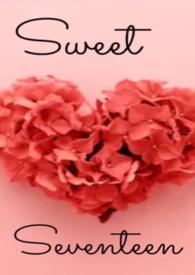 Sweet Seventeen