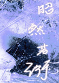 昭然若衍（兄妹1v1H）