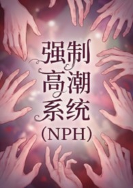 强制高潮系统(NPH)