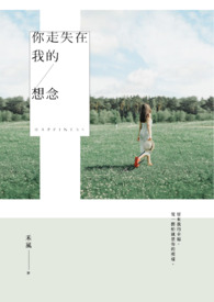 你走失在我的想念