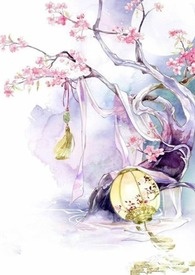 怀抱羽翼