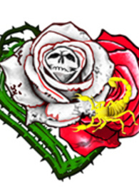 台湾梅花拳