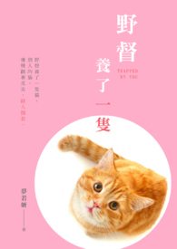 野督养了一只猫