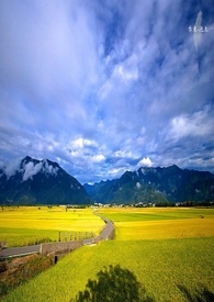 镜花水月(第二部)