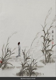 蒹葭