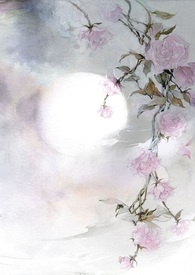 【花落相思】